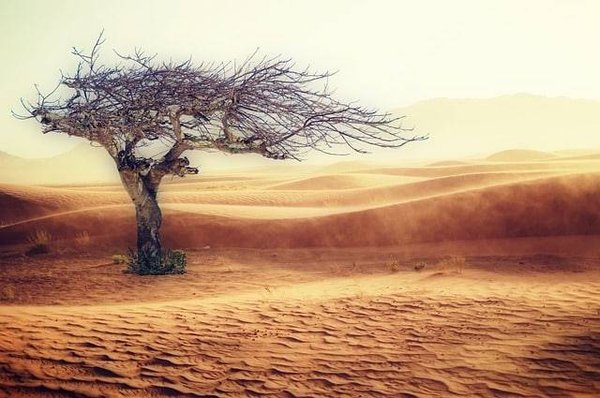 Des lois qui protègent notre environnement – Un guide complet