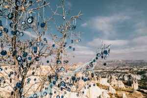 Consultez un avocat en droit de l'environnement et de l'urbanisme, pour des conseils sur les réglementations écologiques